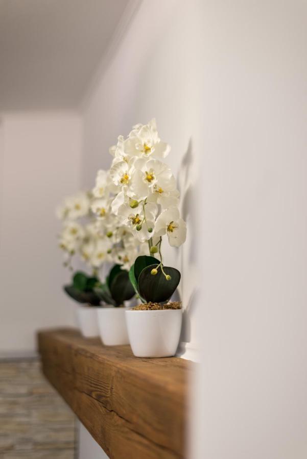 Orchideen Apartment 菲拉赫 外观 照片
